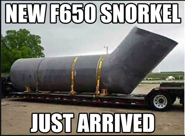 F650 snorkel.jpg