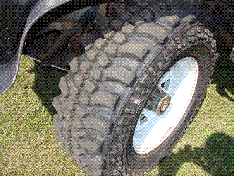 DSC02865_800x.gif