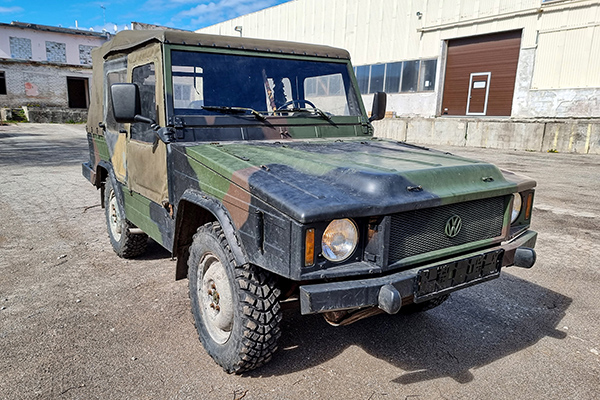 iltis_600.jpg