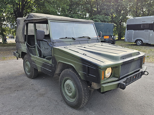 iltis_600.jpg