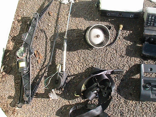 IMG_0782 (640x480) (500x375).jpg