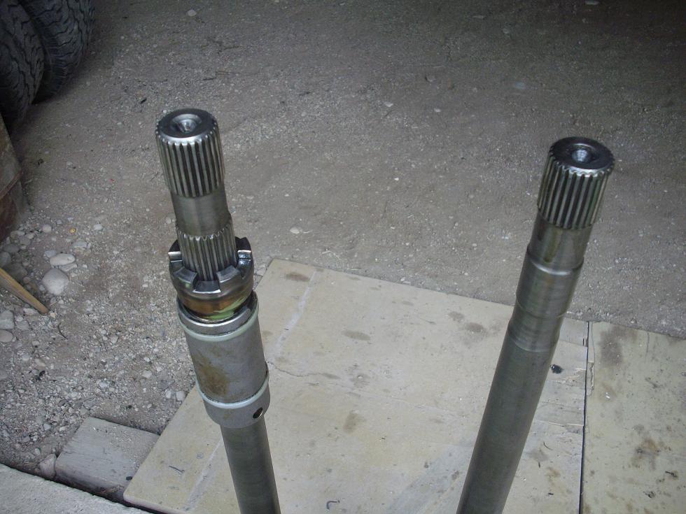 IMGP5890.JPG