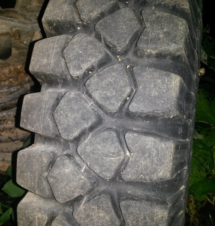 crop_106416159_QSeP3Q9.jpg