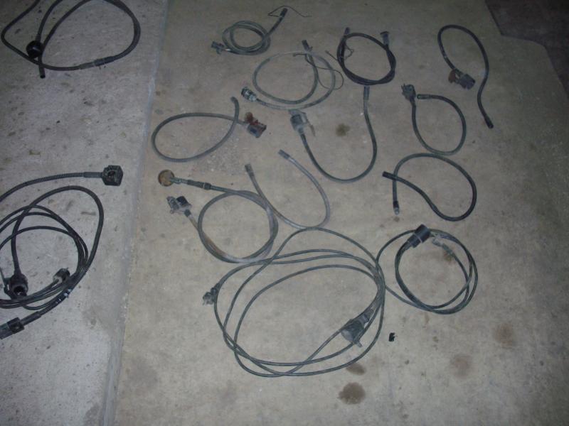 IMGP6350.JPG