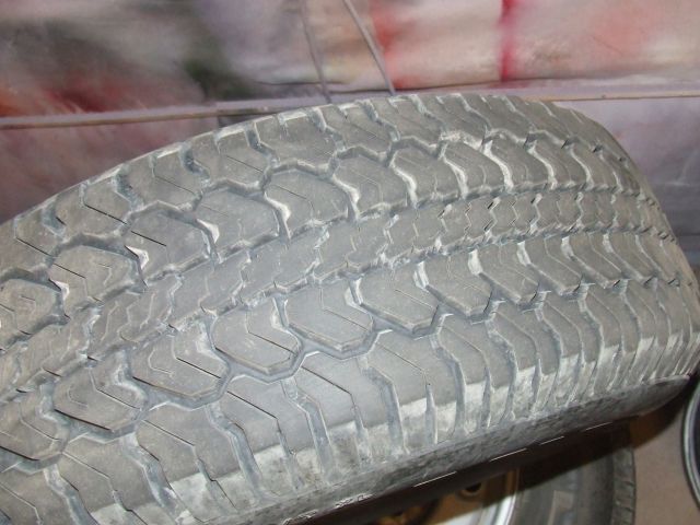 DSCF5137.JPG