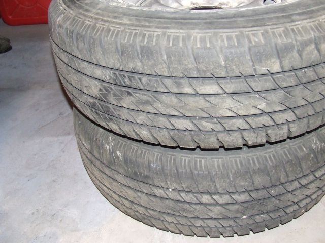DSCF5134.JPG