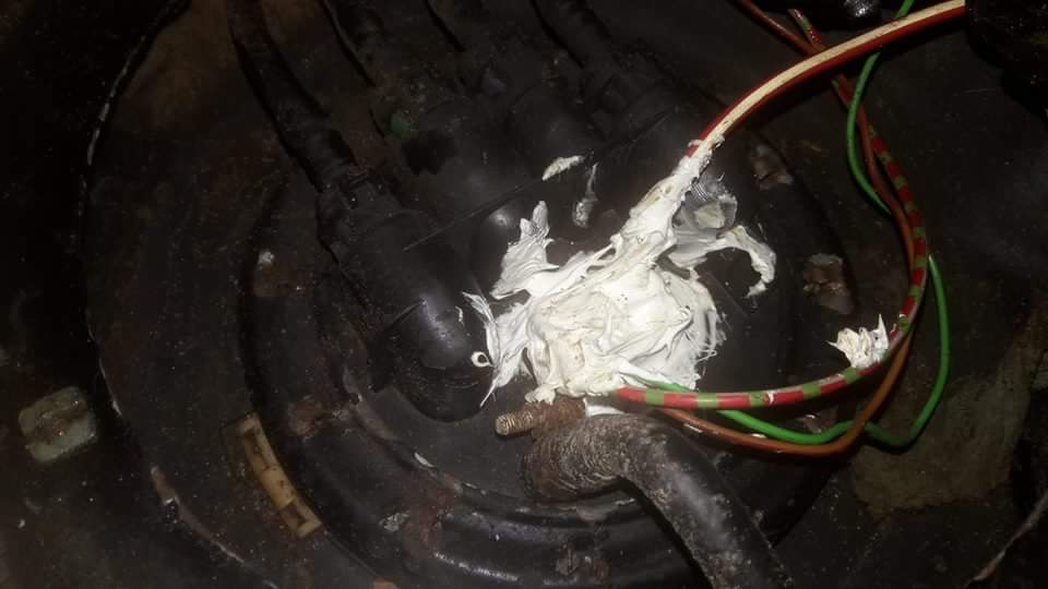 received_471401406365909.jpeg