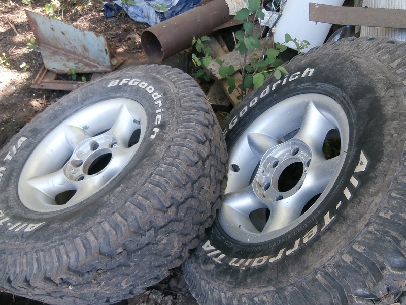 P54xr.jpg