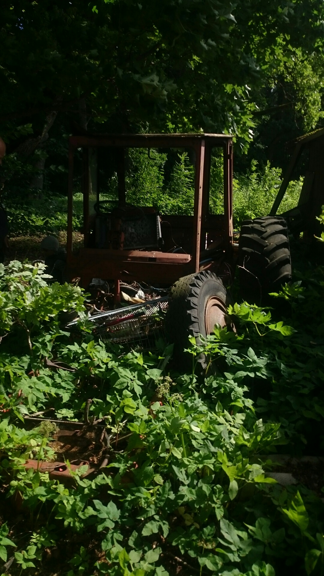 DSC_0878.JPG