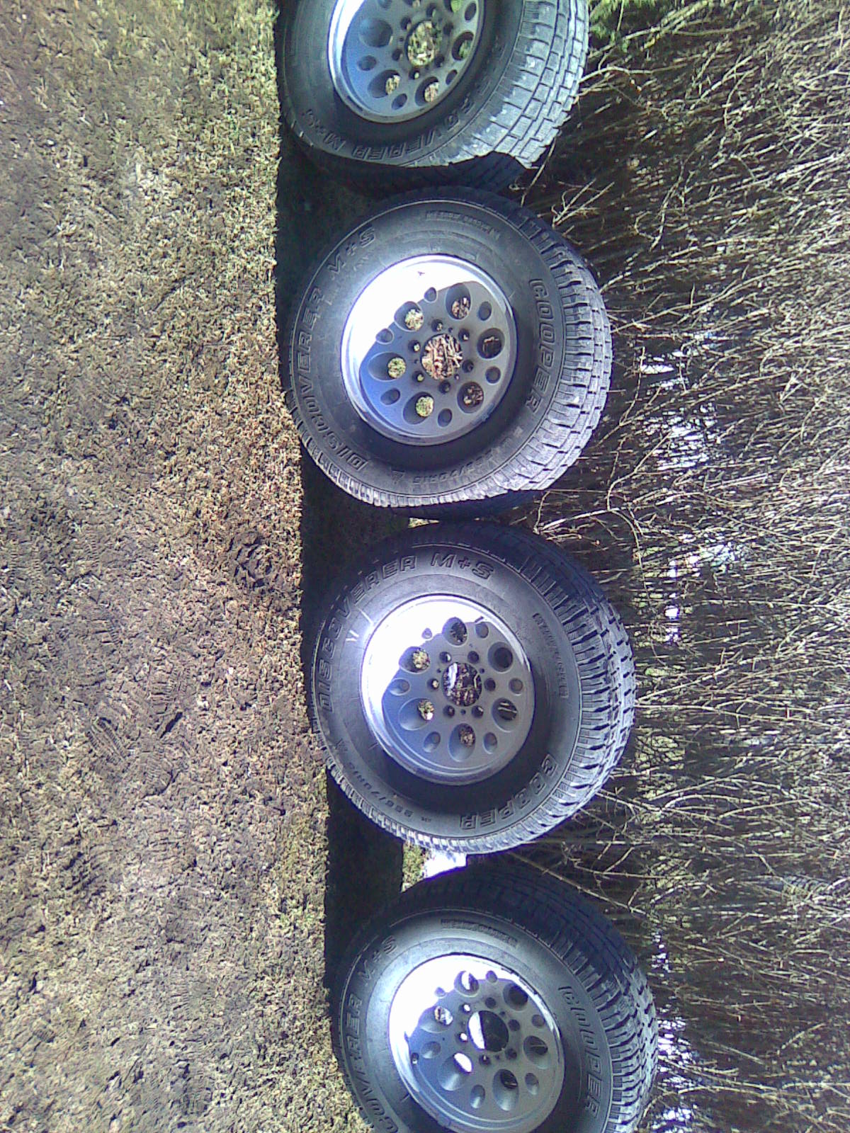 Pilt0430.jpg