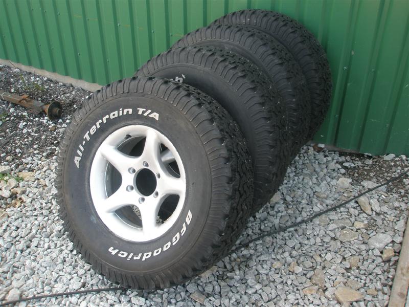 P5190036 (Medium).JPG