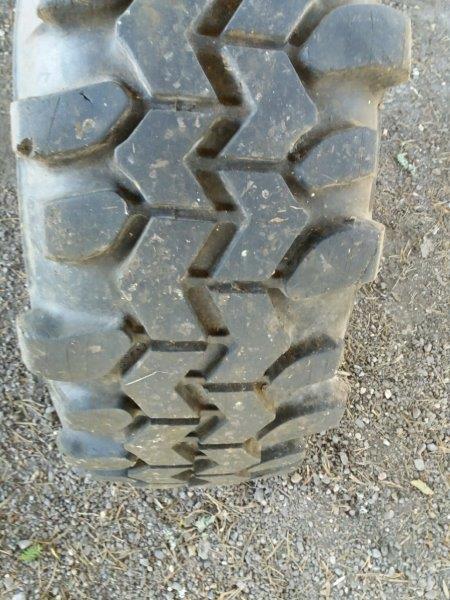 20170312_140456_resized.jpg