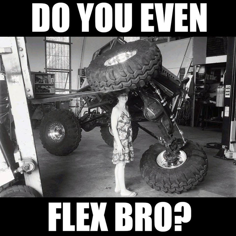 flex mini.jpg