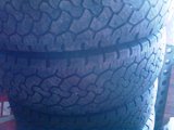 IMAG0440.jpg