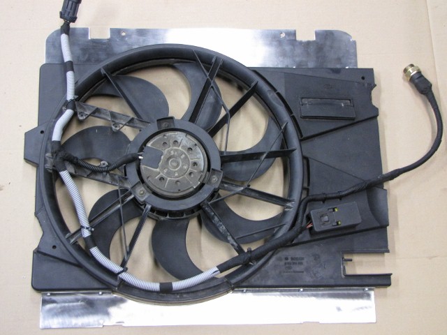 IMG_1239 (640x480).jpg